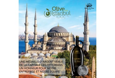 La première participation de Tesoro del Rio au concours olive Istanbul IOOC 2023 récompensée par une médaille d'argent